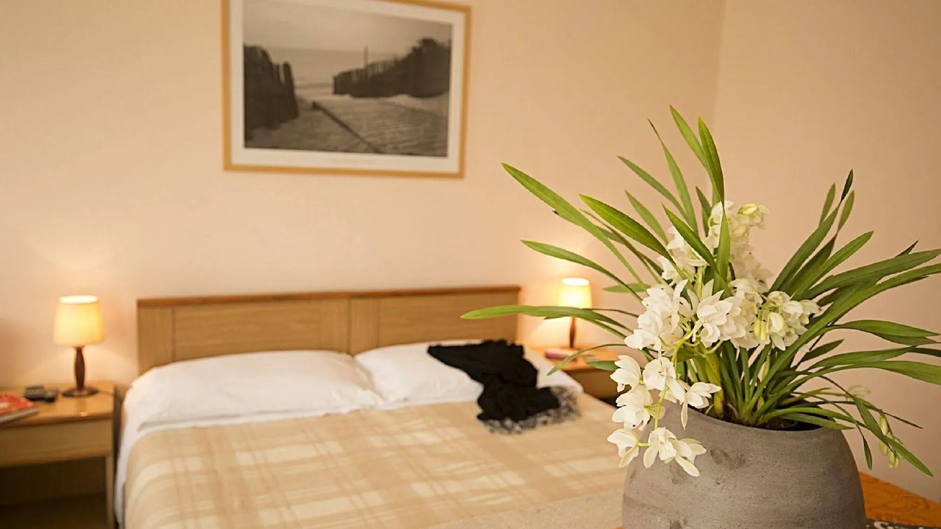 Hotel Buena Onda  Peschiera del Garda
